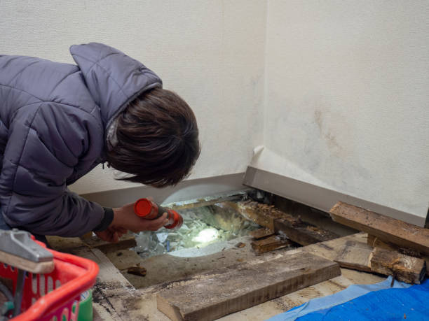 Best Mold Damage Restoration  in Centerville, GA