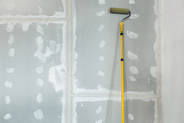 Biohazard Mold Removal in Centerville, GA