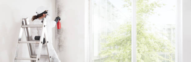 Centerville, GA Mold Removal Company