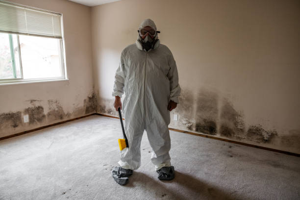 Best Post-Construction Mold Inspection  in Centerville, GA