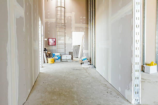 Best Forensic Mold Investigation  in Centerville, GA